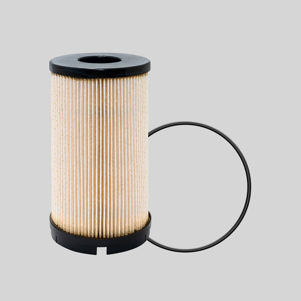 
                        
                                                                                                                NAPA GOLD 600500 FUEL FILTER CROSS REFERENCE
                                                                            
                            